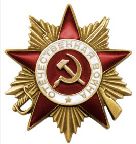 Орден «Отечественной войны I степени», медали: «За отвагу», «За победу над Германией», «За победу над Японией».