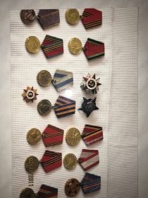 Орден Красной звезды, Медали: "За взятие Вены" и "За победу на Германией"