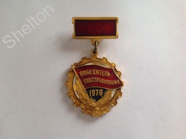 «Победитель социалистических соревнований 1978 года»