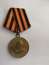 Медаль за победу над Германией