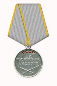 медаль за боевые заслуги