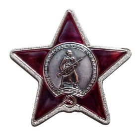Орден Красной Звезды  20.12.1943