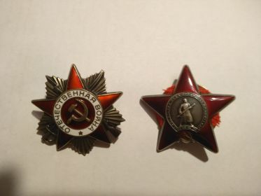 Орден Отечественной войны I степени, Орден Красной Звезды, медали