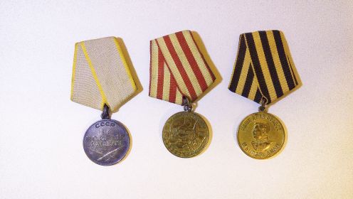медаль "За оборону Москвы", медаль "За победу над Германией"