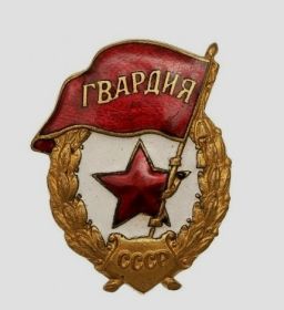 нагрудный знак "Гвардия"