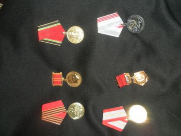 -орден  Отечественной войны II  степени, медали «За боевые заслуги», «За доблестный труд», «За освоение целинных  земель», «Ветеран войны», «Ветеран труда», юби...