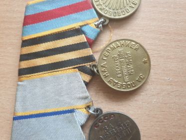 Медаль "За Победу над Германией".