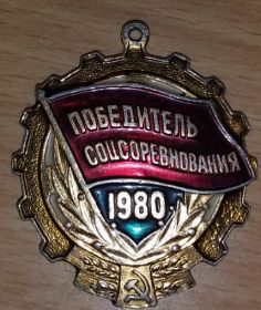 Знак «Победитель Социалистического Соревнования 1980 года»