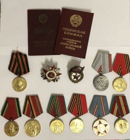 Орден «Великой Отечественной Войны 2 степени, медаль «За победу над Германией», после войны юбилейные медали