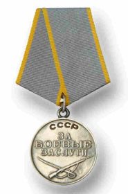 Медаль "За боевые заслуги" 03.11.1942 г. приказ № 0511, 4 Ударная Армия, Калининский фронт