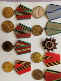За оборону Кавказа,Медаль Жукова,Медаль за отвагу, Медаль за победу над Германией, Орден Отечественной войны, юбилейные медали