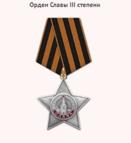 Орден Славы 3 степени
