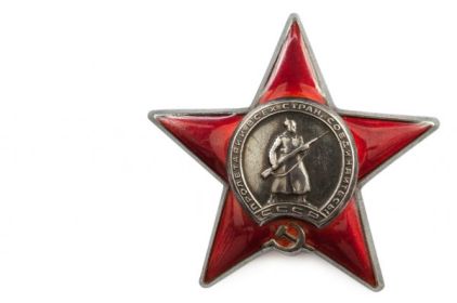 Орден "Красной Звезды" 18.11.1944 г. приказ № 037/н, 2 Украинский фронт