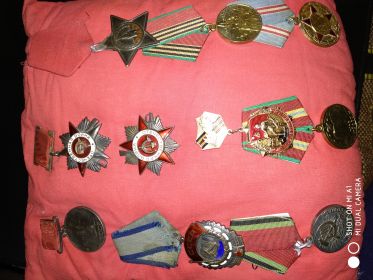 Медаль «За отвагу» (от 28.07.1943г. 351820); Орден Отечественной войны 2-й степени ( 25778, 1943г.); Орден «Слава» 3-й степени (27244 и 3660); Медаль «За победу...