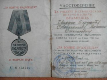 Медаль за взятие Будапешта