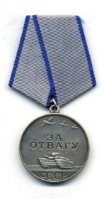 Награждён медалью «За отвагу» , орденом Отечественной войны 1 степени
