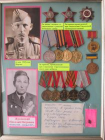 Два ордена Красной Звезды, орден Отечественной войны II  степени, медаль "За отвагу", другие более 10 медалейлcntgtyb?