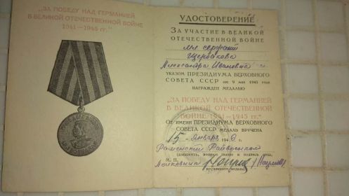 Медаль за Победу над Германией в Великой Отечественной войне 1941-1945гг