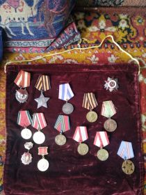 Орден Славы 3 степени, орден Красного знамени, медаль за Берлин, медаль за боевые заслуги