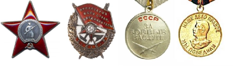 Ордена Красной Звезды и Красного Знамени, медали За боевые заслуги, За победу над Германией