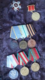 За боевые заслуги, За оборону Ленинграда, Орден Отечественной Войны II степени