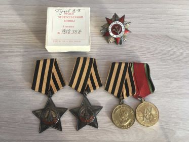 Ордена Славы II и III степени, Отечественной войны I степени, медали "За совобождение Варшавы", "За взятие Берлина", "За победу над Германией"
