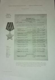 Орден " Славы" третьей степени.