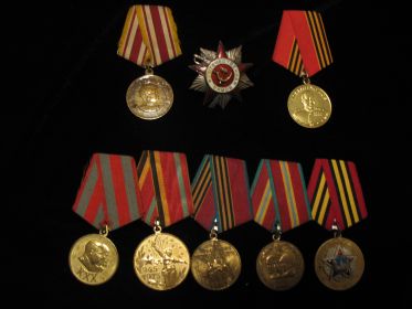 Награжден орденом Отечественной войны, медалью «За победу над Японией»