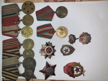 Орден Красной Звёзды, Медаль за Взятие Берлина, Медаль за Отвагу, Орден Гвардии