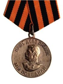 Медаль За победу над Германией в Великой Отечественной Войне 1941-1945 гг.
