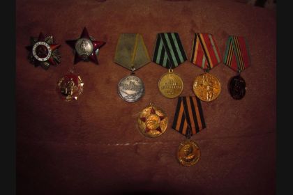 Орденом «Красной Звезды», медаль «За взятие Кенигсберга», медаль «За боевые заслуги», Орден «Отечественной войны» второй степени.