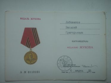 Медалью Жукова, " За победу над Германией",  "За победу над Японией",  Орден Отечественной войны 2 степени