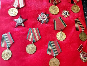 Орден Красной Звезды,  Медаль за Победу над Германией,  , Орден  Великой Отечественной войны
