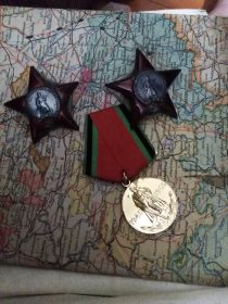 Дважды Орден "Красной звезды", Медаль "За Взятие Берлина", "За Освобождение Варшавы", "За победу над Германией"