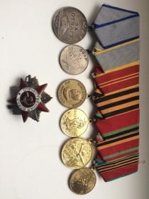 Медаль "За Отвагу", Медаль "За боевые заслуги", награжден Орденом Великой Отечественной Войны 2 степени