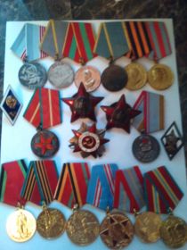 Два ордена Красной звезды, Орден Отечественной войны, большое количество медалей