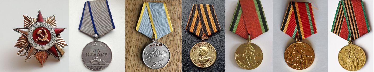 Орден Отечественной войны 1 степени,  Медаль «За отвагу», Медаль "За боевые заслуги", Медаль «За победу над Германией в Великой Отечественной войне 1941—1945 гг...