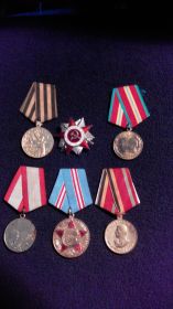 орден Красной звезды (утерян), орден Великой Отечественной войны  второй степени, юбилейные медали