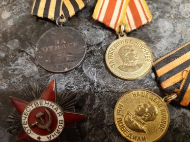 Медаль за отвагу, орден Отечественной войны 2ой степени, медаль за победу над Германией, медаль за победу над Японией.