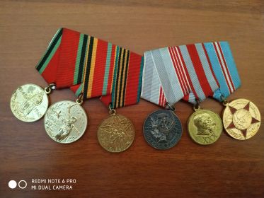 Медали: за оборону Ленинграда и за победу над Германией, Ветеран труда