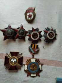 2 ордена "Красная Звезда", 2 ордена Отечественной войны II степени, орден Богдана Хмельницкого