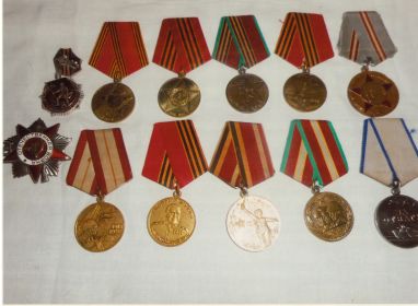 Медаль «За отвагу», Медаль «Жукова»,Орден «Отечественной войны 1-ой степени» ,Юбилейная медаль «65 лет Победы в Великой Отечественной войне 1941—1945 гг.»