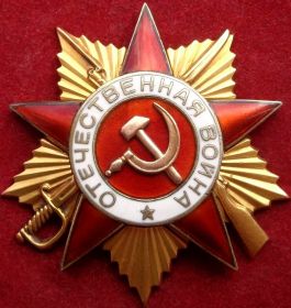 Орден Отечественной Войны I степени, медаль «За отвагу!», медаль «За победу над Германией»