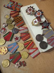 Орден Красной Звезды (№780124); Орден отечественной войны 2 степени (№712761) ; Медаль за боевые заслуги Отечественной войны 1 степени  (№124013) ;Медаль за бое...