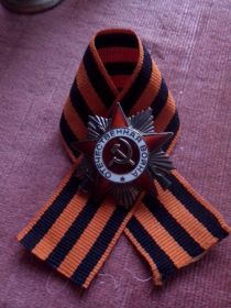 Орденом Отечественной войны I степени, Орденом Отечественной войны II степени и медалью за победу над Германией, Медаль за отвагу