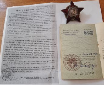 Орден Красеой Звезды