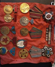 Медаль за боевые заслуги, медаль за победу над Германией, медаль за победу над Японией, орден "Полярной звезды", Орден Отечественной войны.