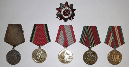 медаль «За боевые заслуги», орден «Отечественная Война 1 степени», медаль «Двадцать Лет Победы в Великой Отечественной Войне 1941 – 1945 гг.», медаль «60 лет Во...