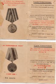 "За освобождение Праги ", "За взятие Будапешта", "За победу над Германией в Великой Отечественной войне 1941-1945 г.г."