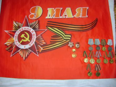 «За победу над Германией», «30 лет Советской Армии», «За боевые заслуги»